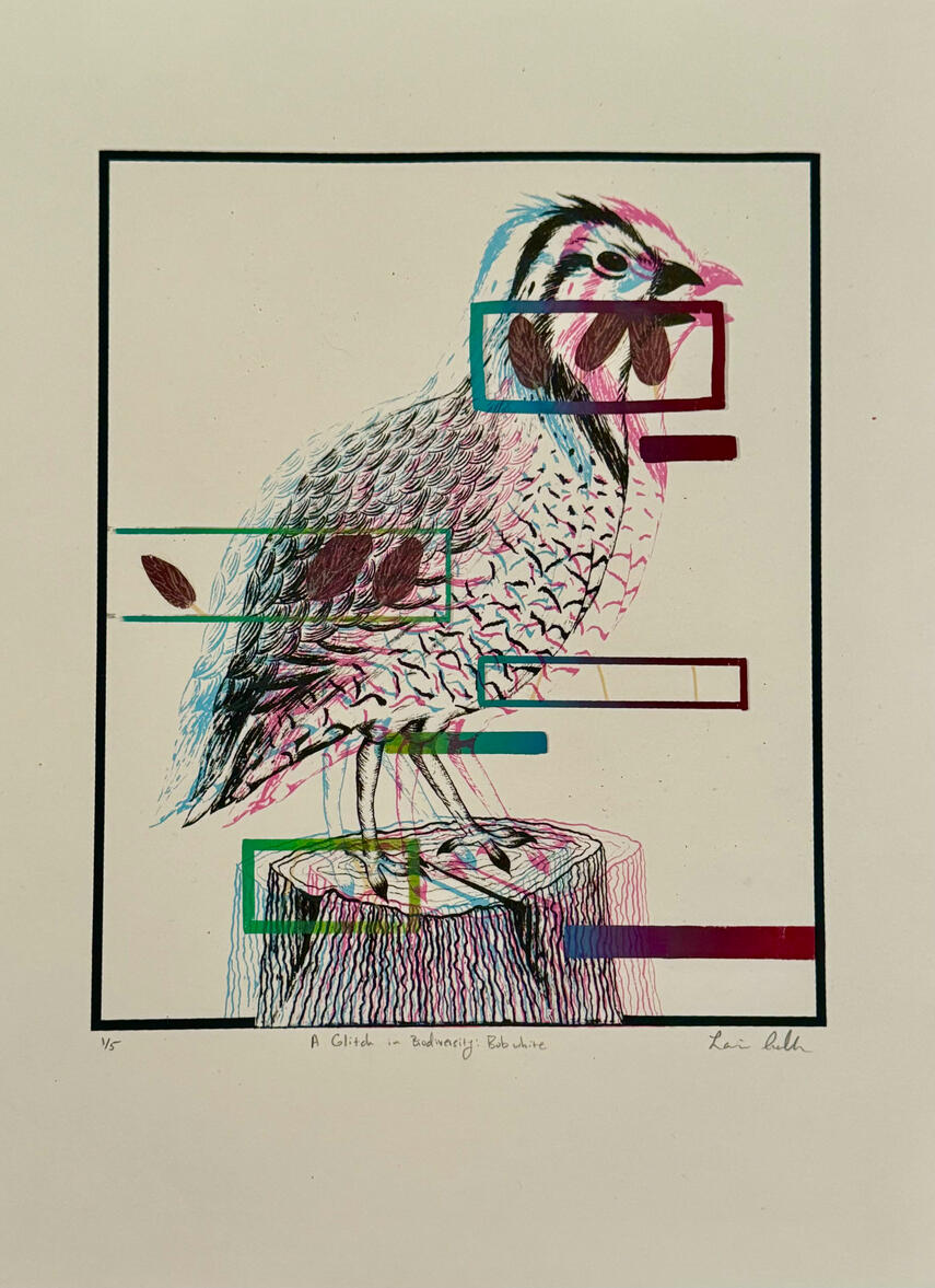 A Glitch in Biodiversity: Bobwhite, Photolithograph and Screenprint on Stonehenge, 11" x 15", 2022